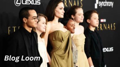 angelina jolie net worth