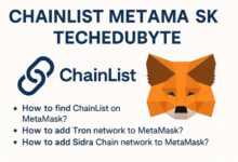 chainlist metamask techedubyte
