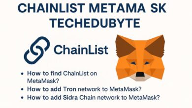 chainlist metamask techedubyte