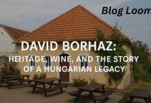 david borhaz