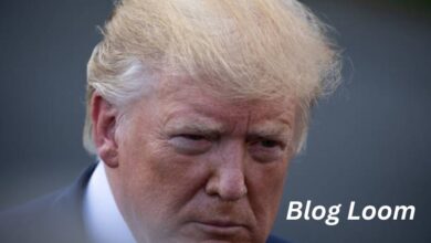 donald trump hair