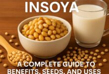 insoya