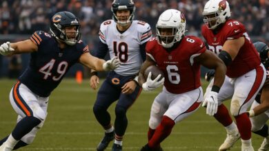 chicago bears vs arizona cardinals match player stats