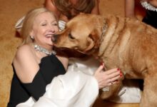 chris mccausland wife