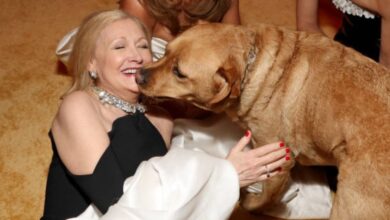 chris mccausland wife