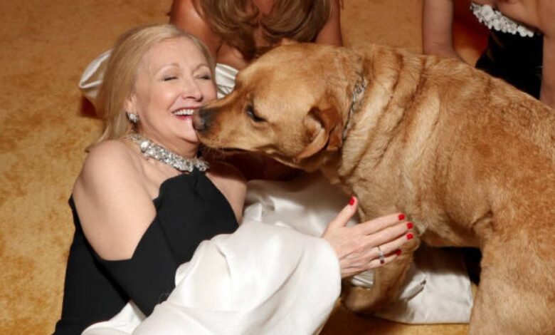 chris mccausland wife