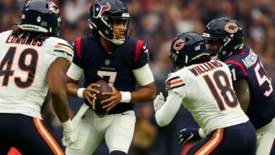 houston texans vs chicago bears match player stats