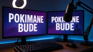 pokimane bude